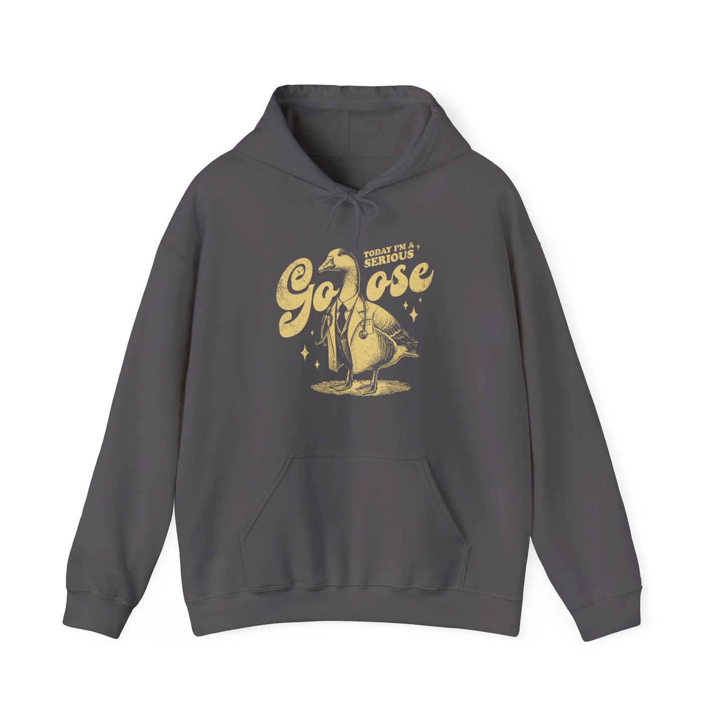 Today I'm a Serious Goose Hoodie