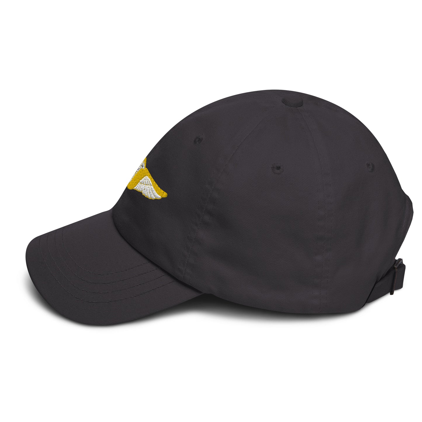 Flight Wings Caduceus Baseball Cap