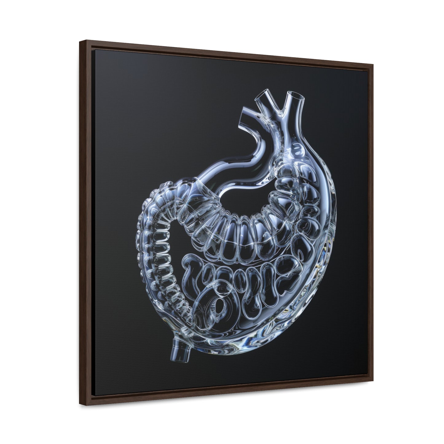 Framed Canvas - Glass Stomach