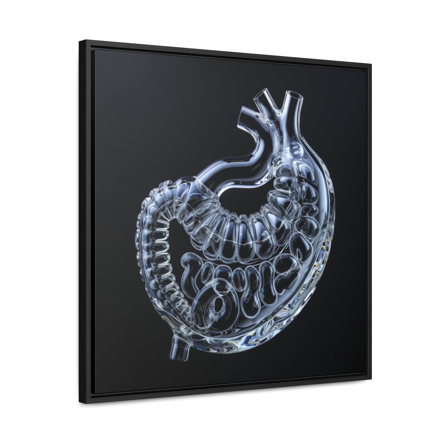 Framed Canvas - Glass Stomach