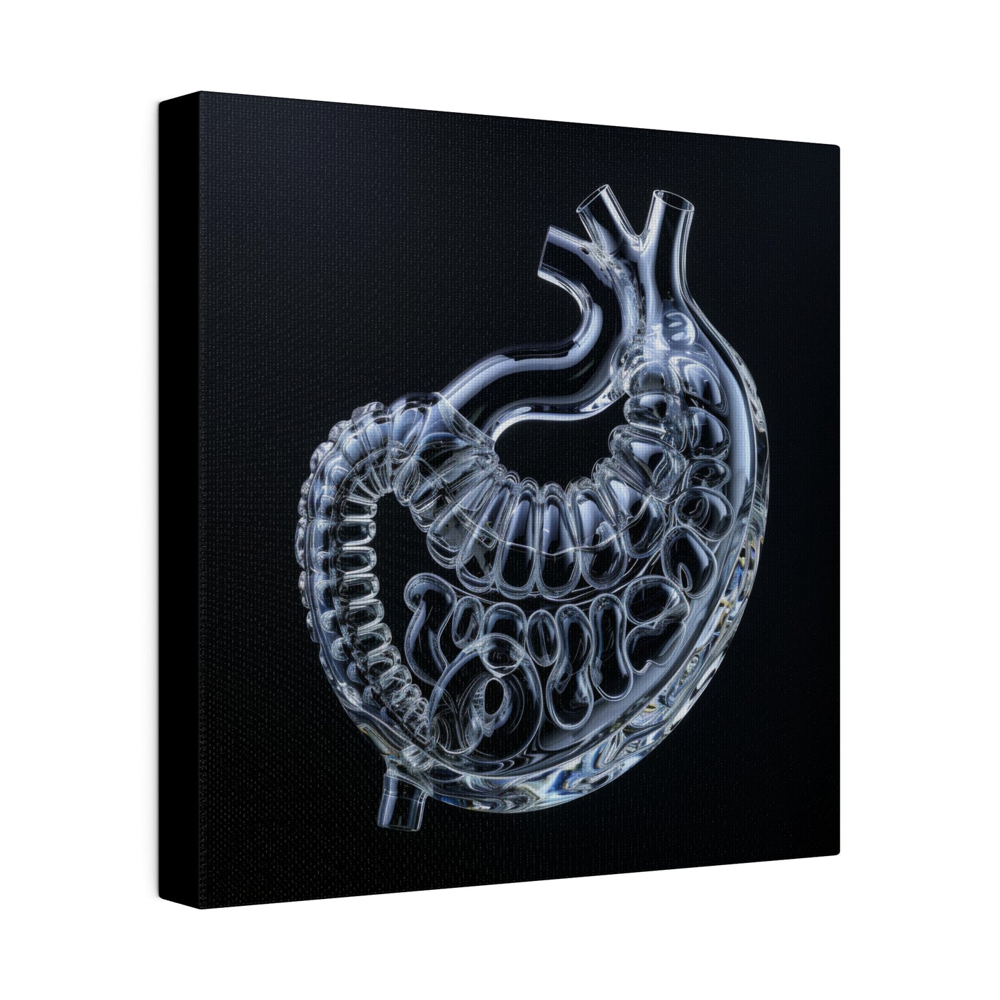 Matte Canvas - Glass Stomach