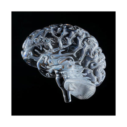 Poster - Glass Brain