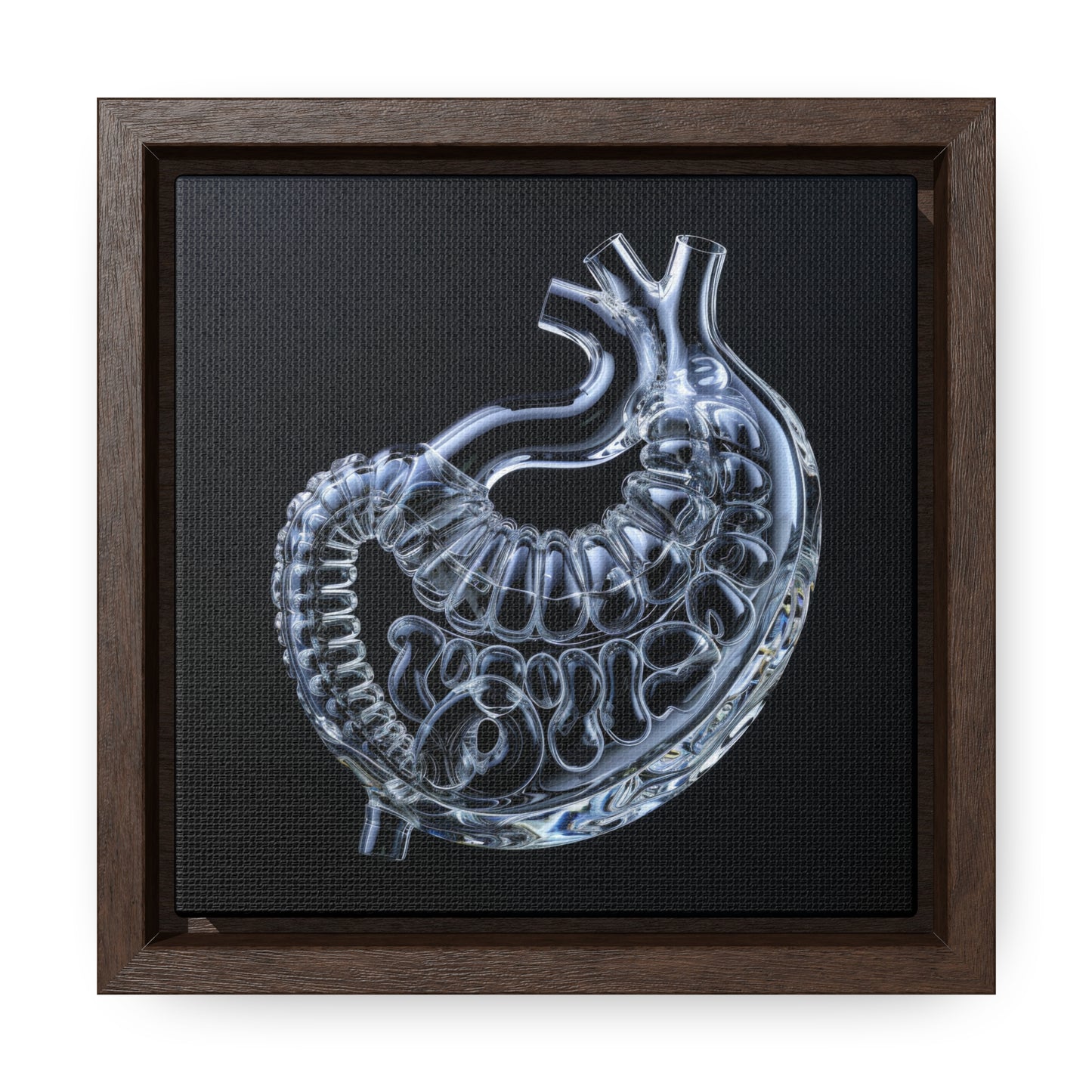 Framed Canvas - Glass Stomach