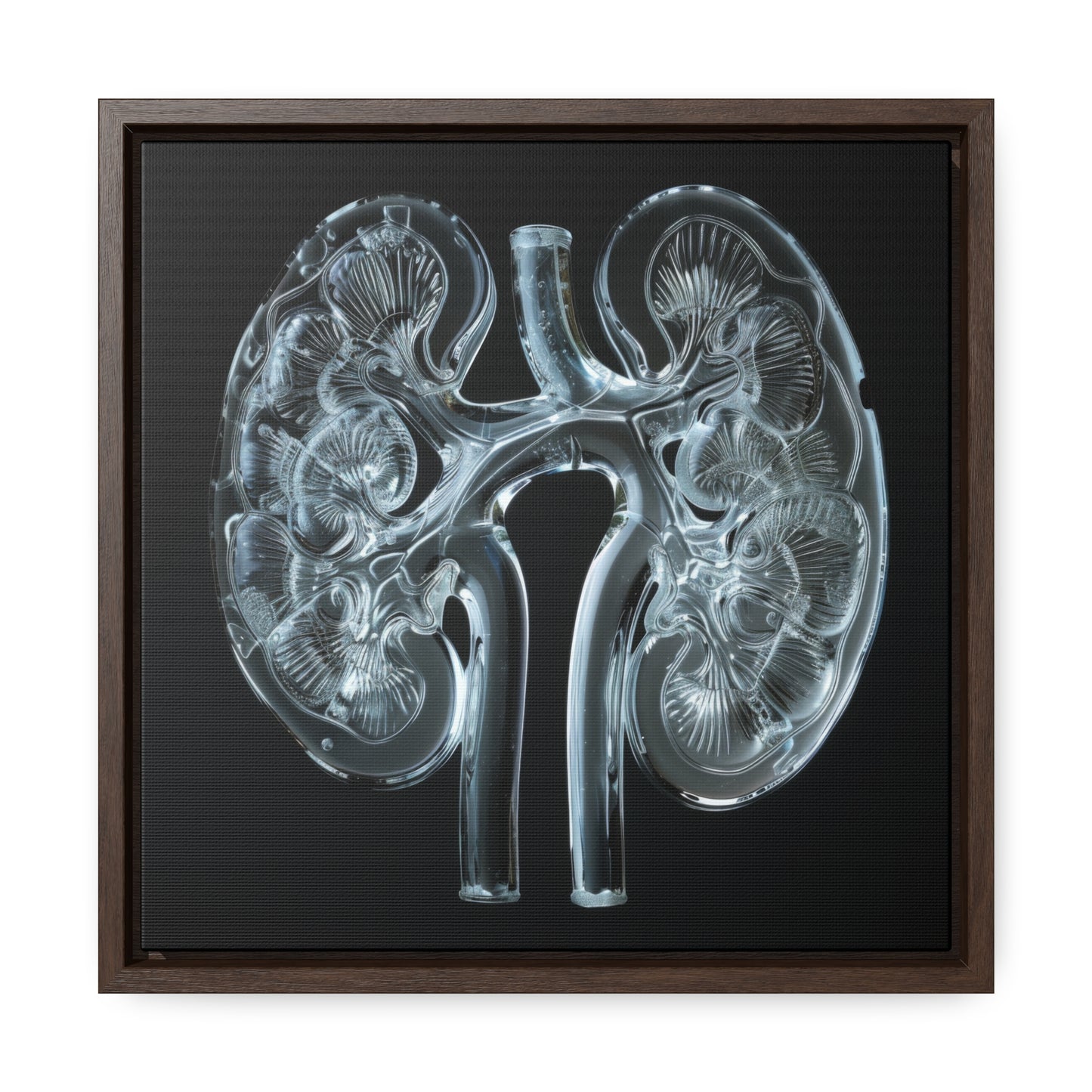 Framed Canvas - Glass Kidneys