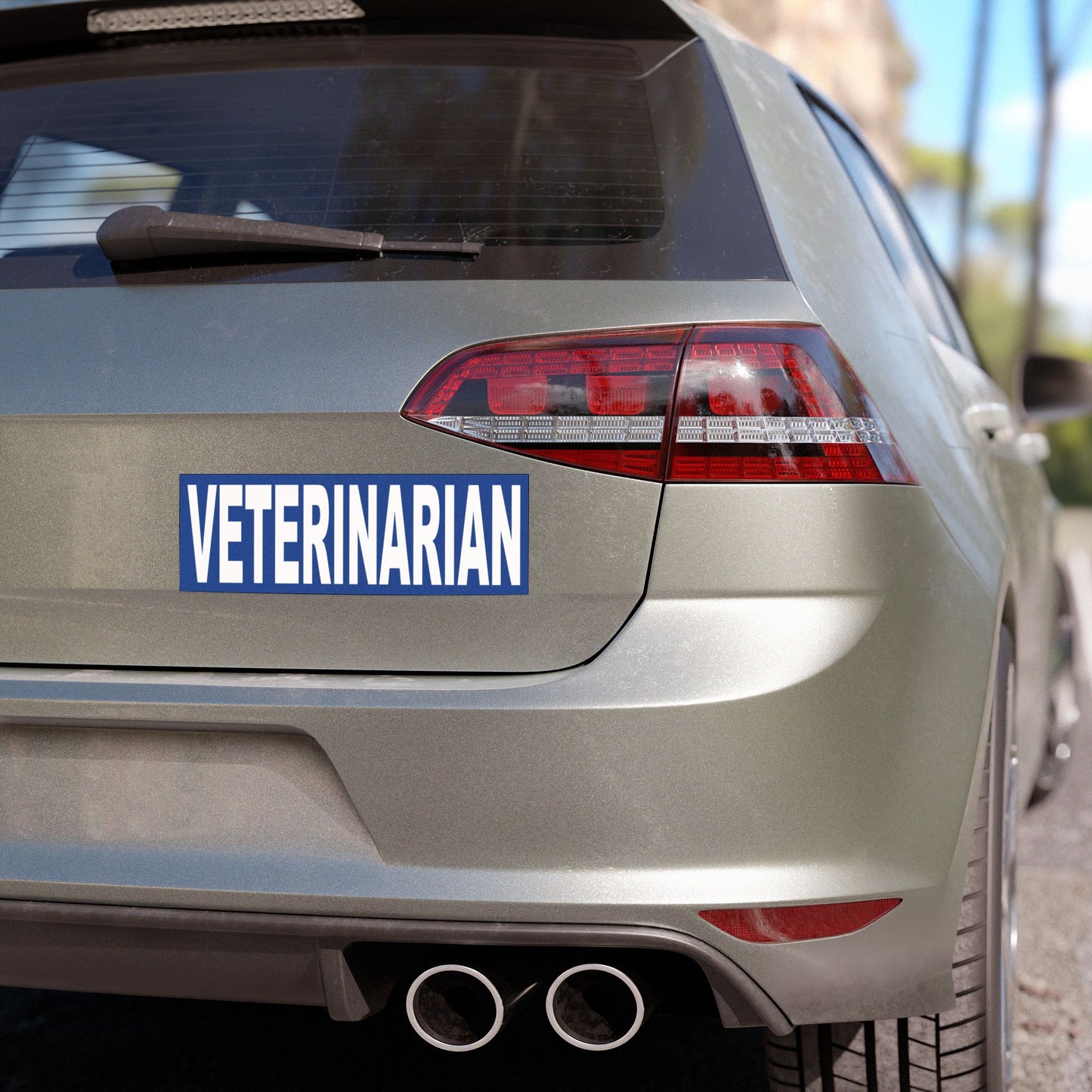 Veterinarian Car Magnet