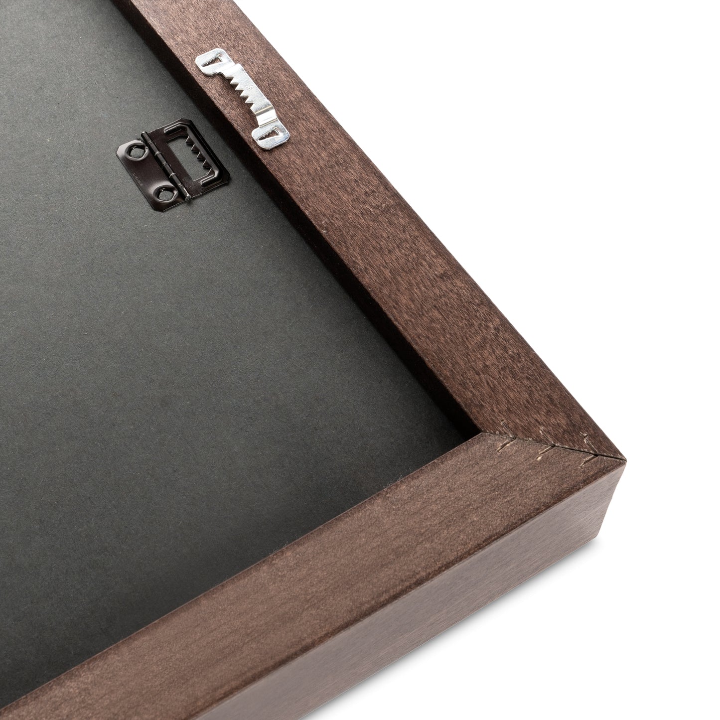 Framed Canvas - Glass Kidneys