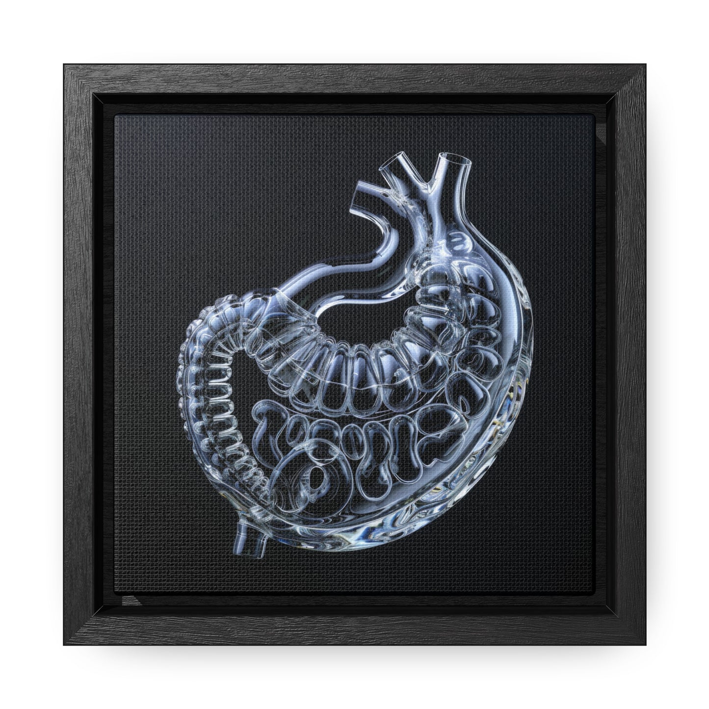 Framed Canvas - Glass Stomach