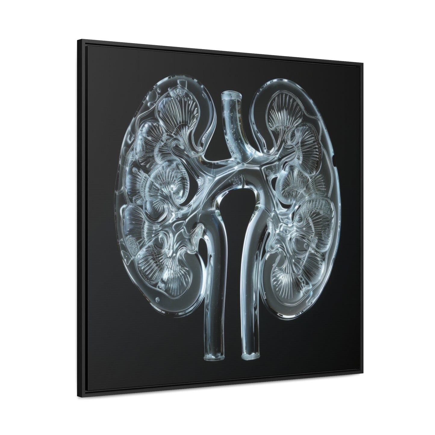 Framed Canvas - Glass Kidneys