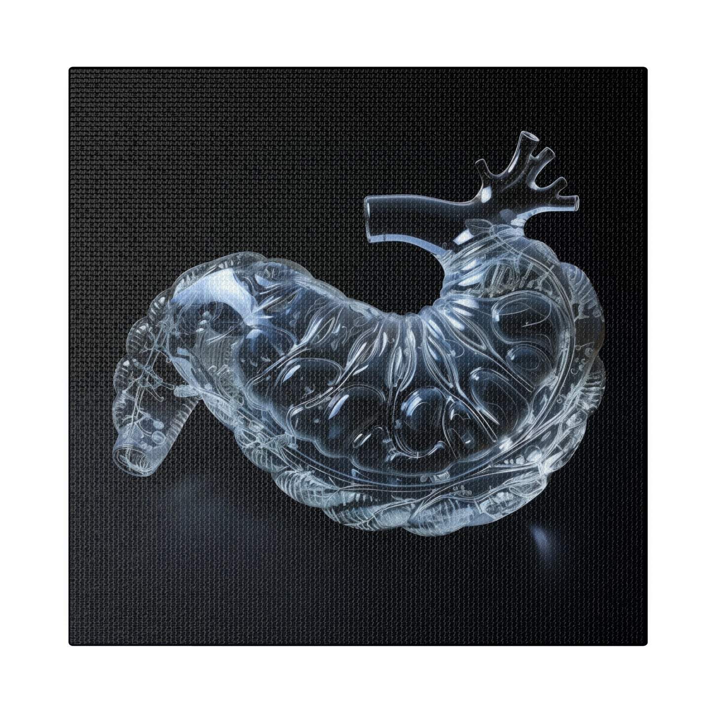 Matte Canvas - Glass Pancreas