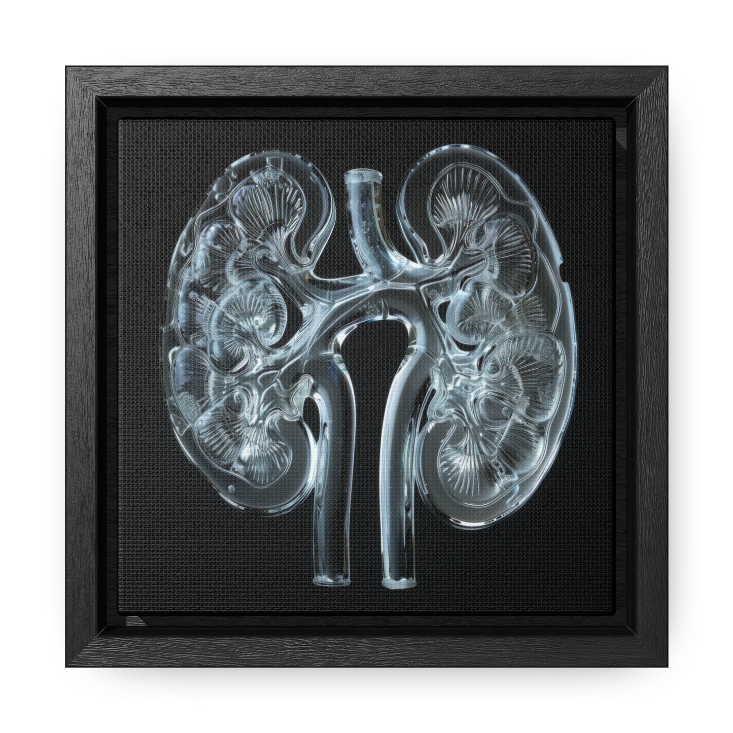 Framed Canvas - Glass Kidneys