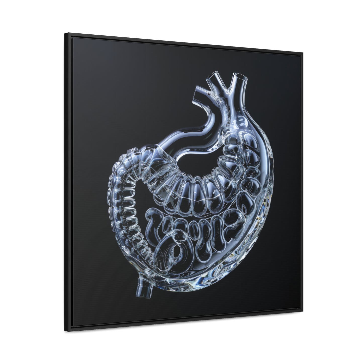 Framed Canvas - Glass Stomach