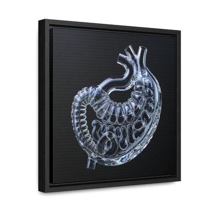 Framed Canvas - Glass Stomach