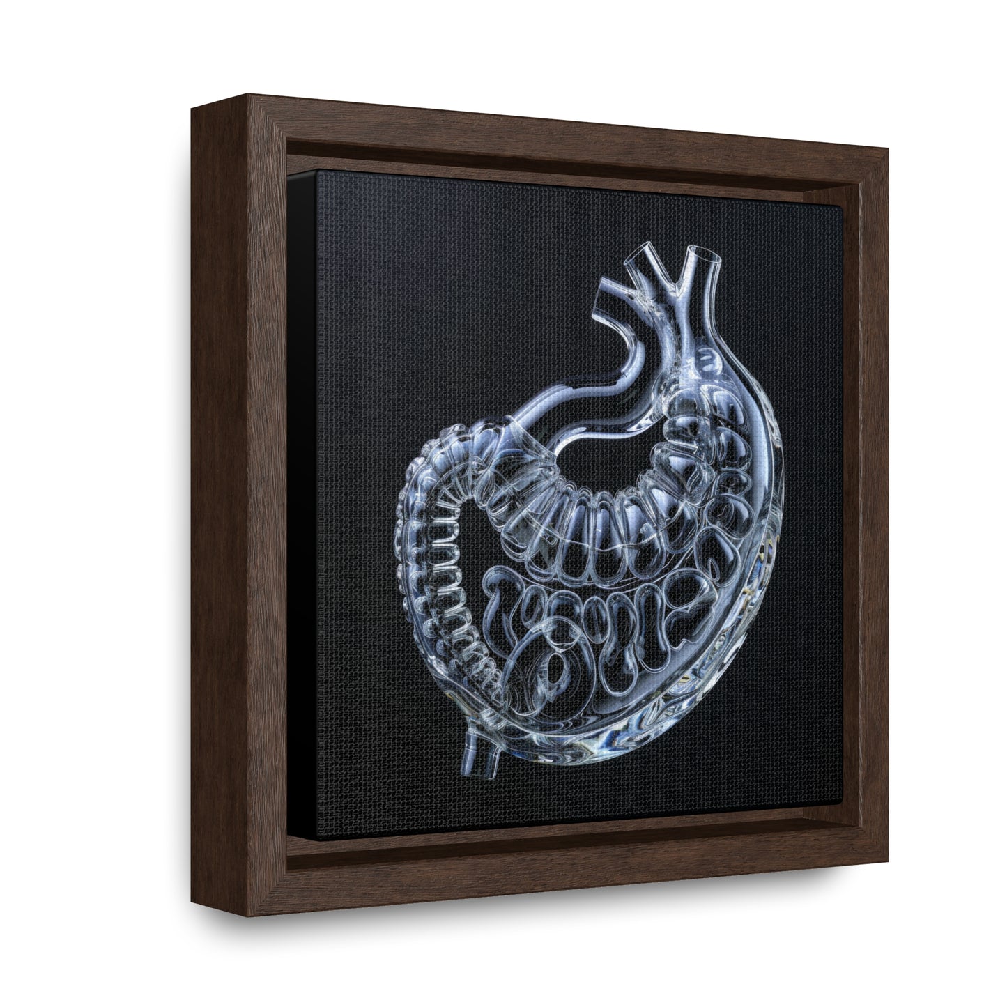 Framed Canvas - Glass Stomach