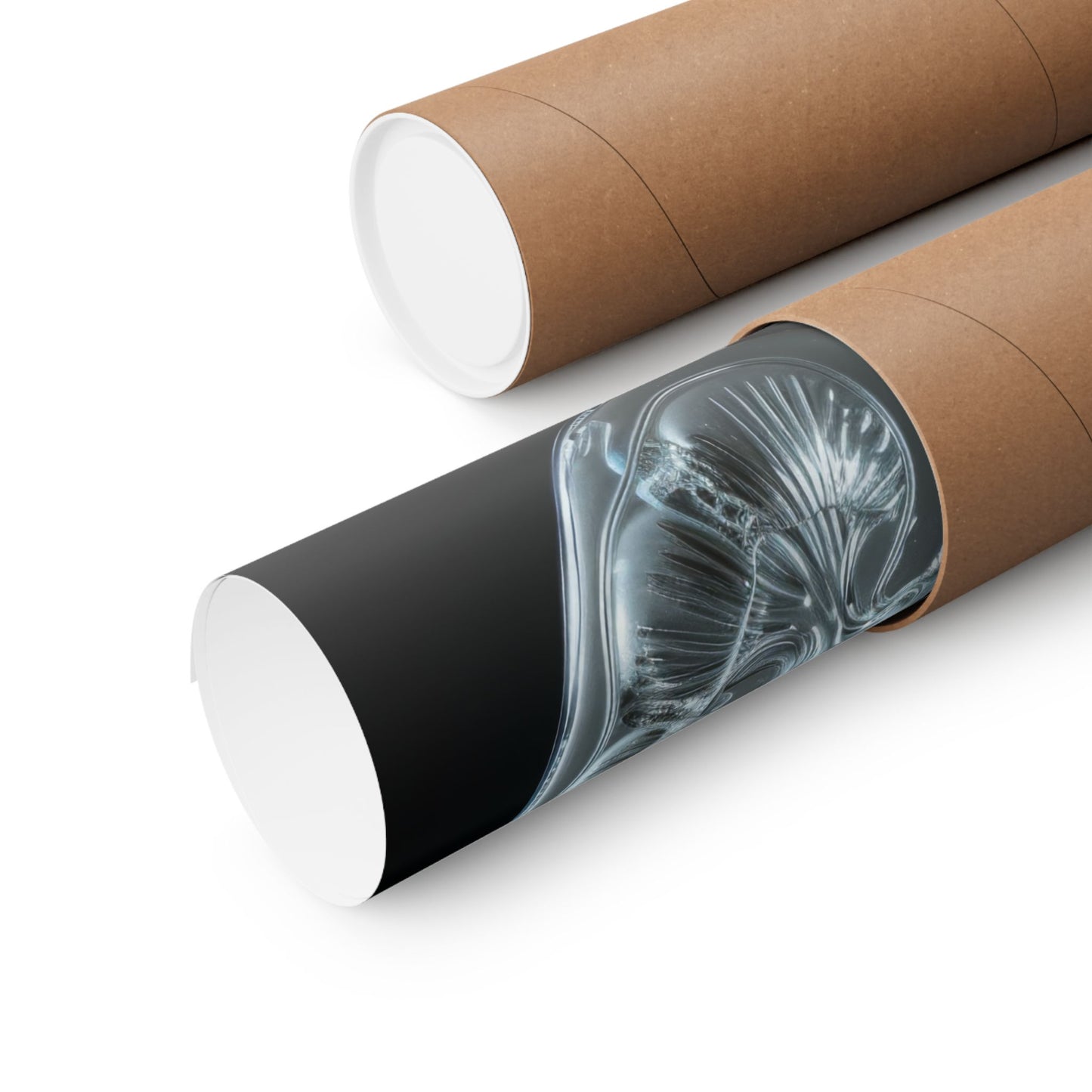 Poster - Glass Kidney