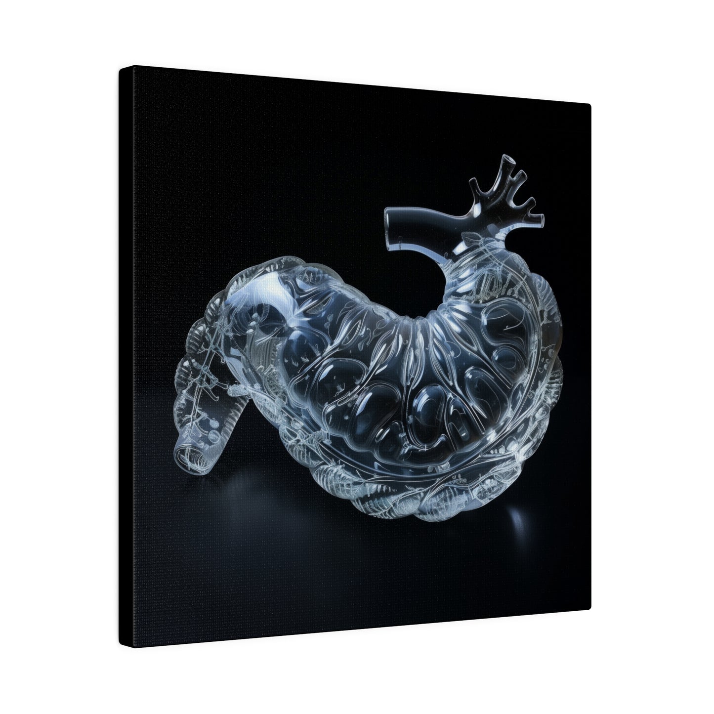 Matte Canvas - Glass Pancreas