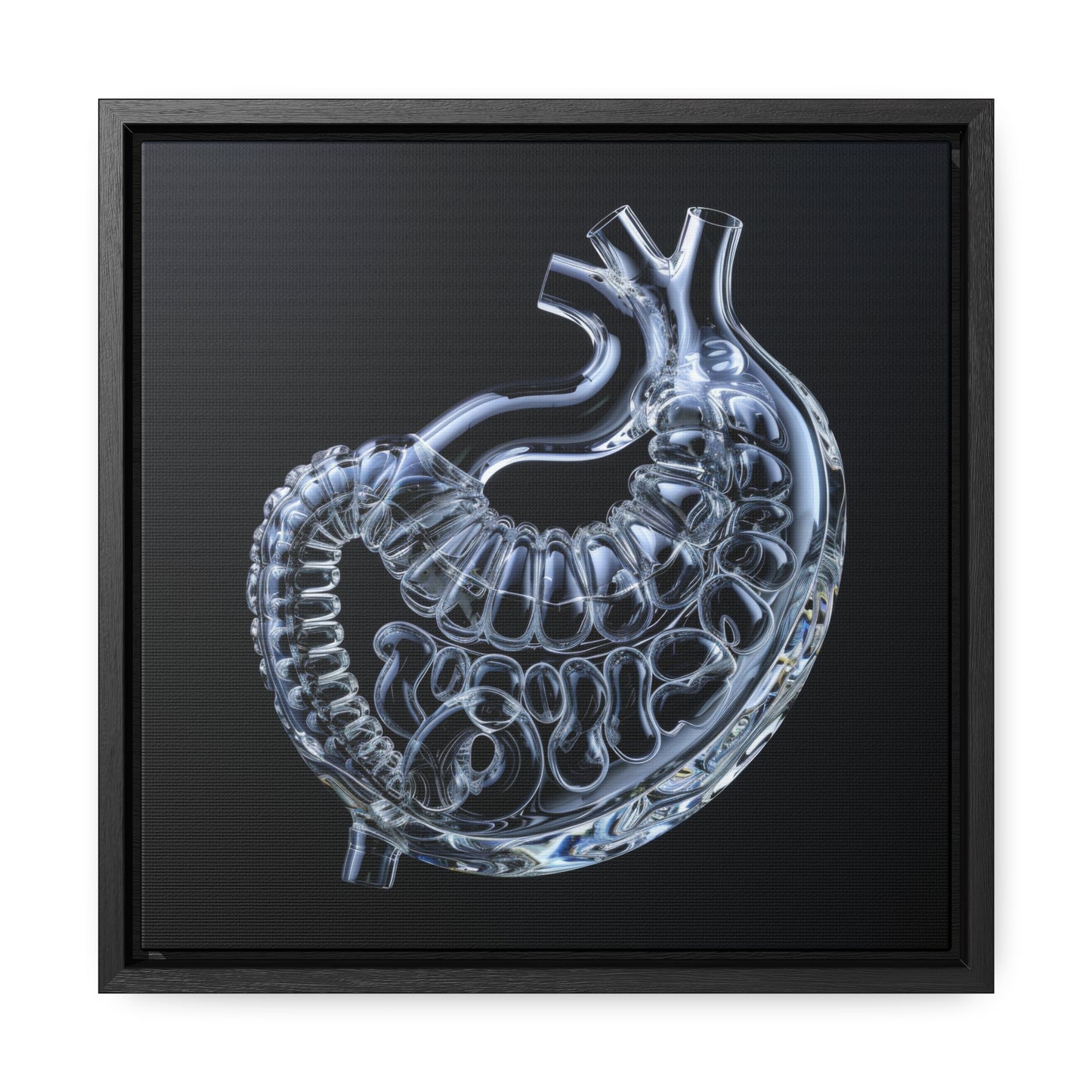Framed Canvas - Glass Stomach