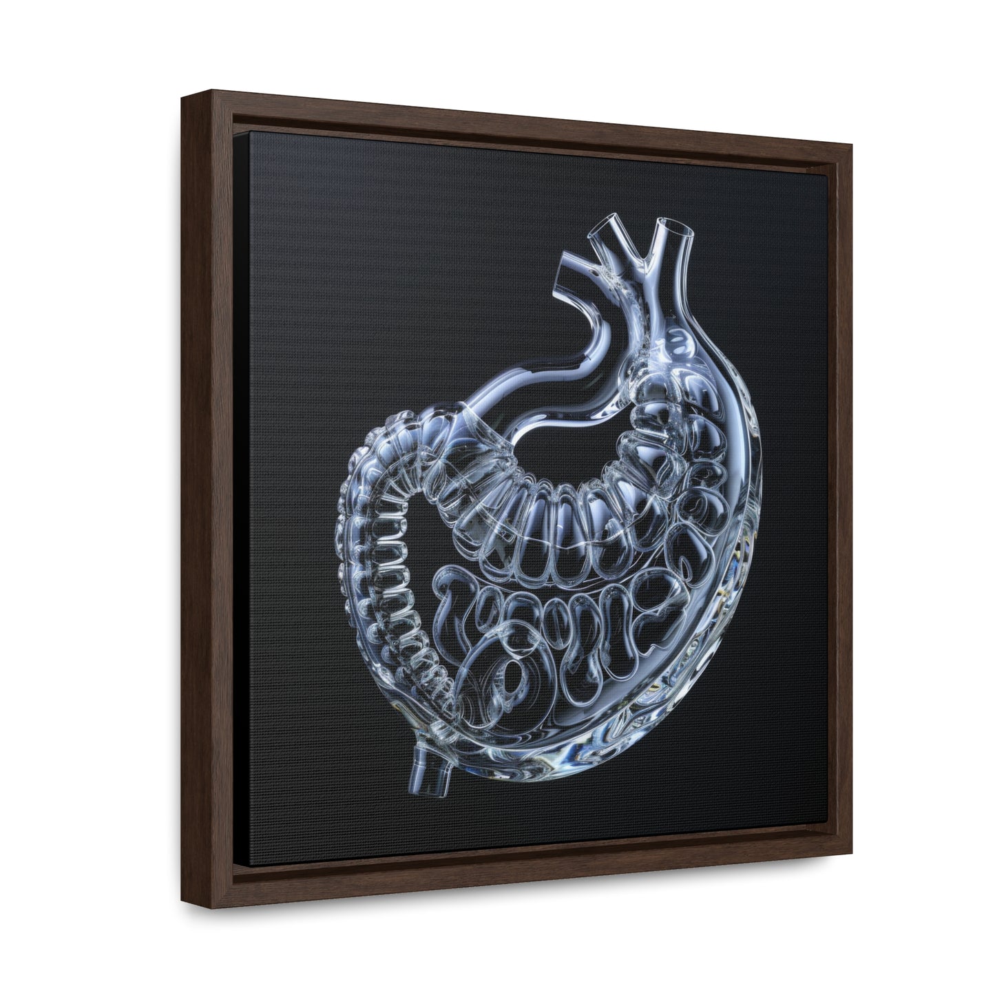 Framed Canvas - Glass Stomach