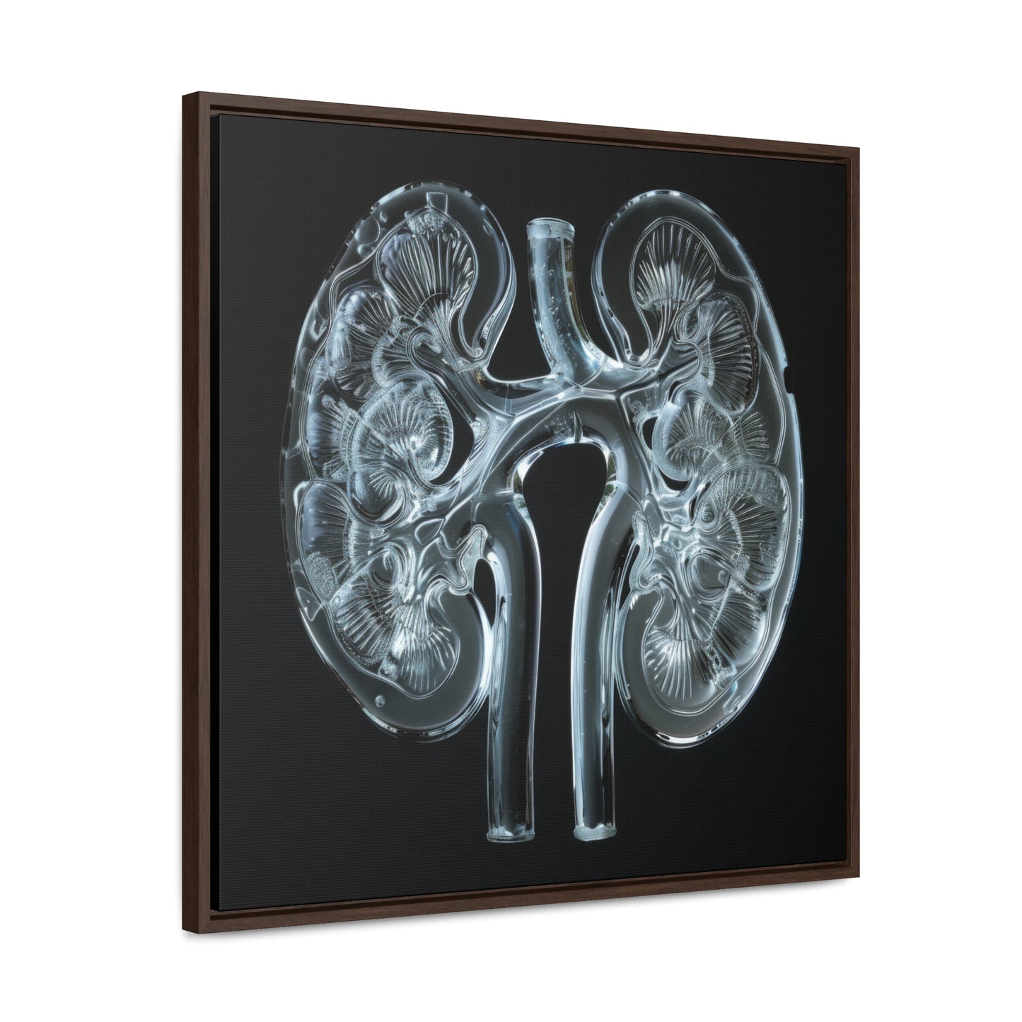 Framed Canvas - Glass Kidneys